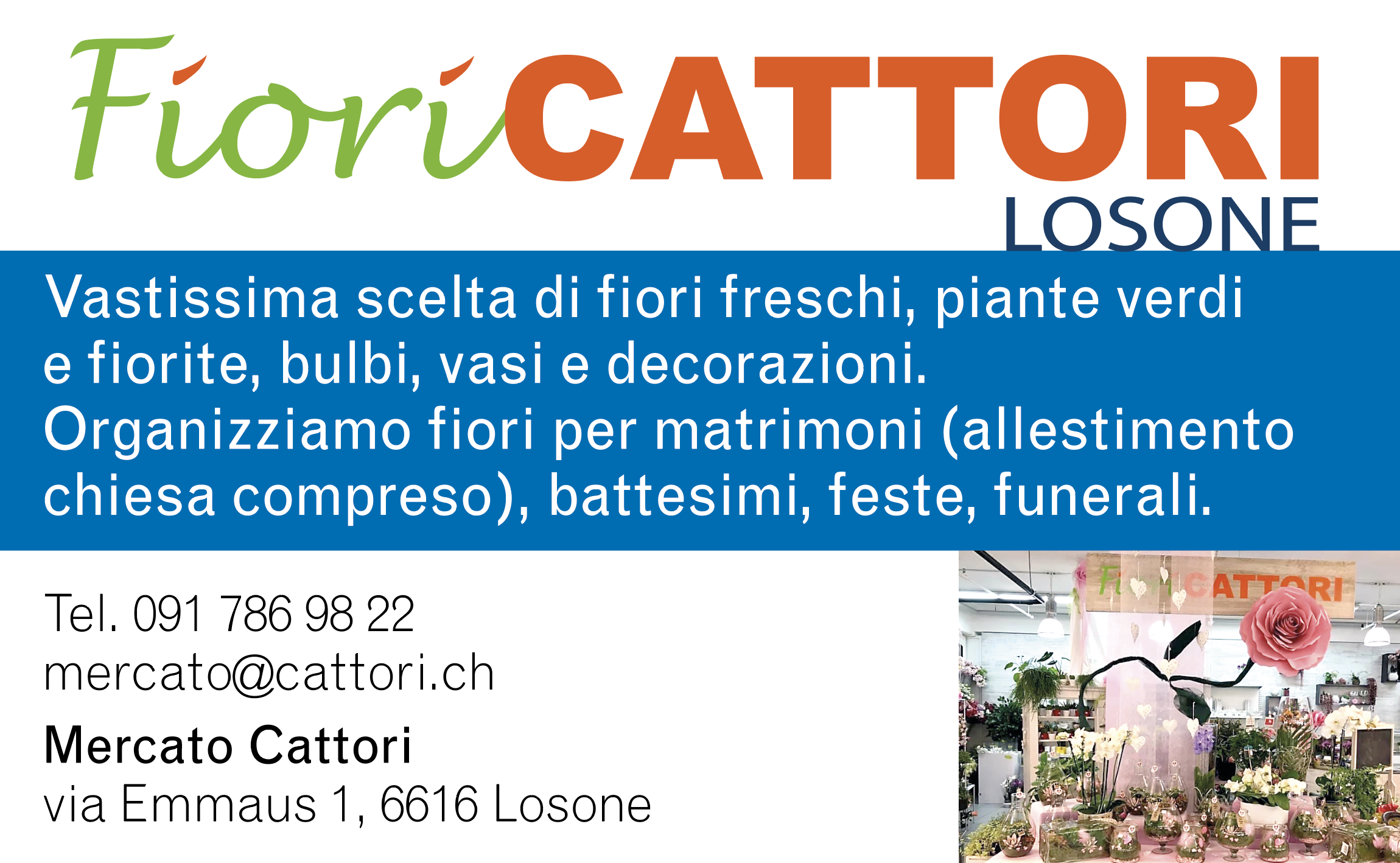 324_Fiori_Cattori