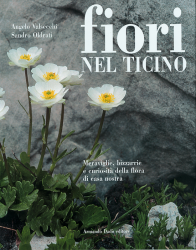 Fiori nel Ticino