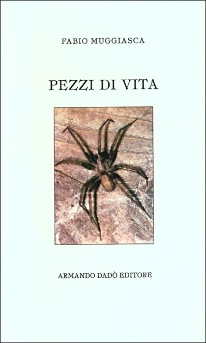 Pezzi di vita 4d7fedc764b87