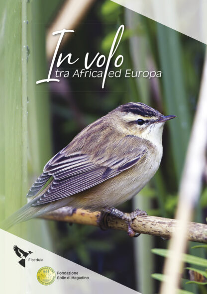 copertina20120Ficedula
