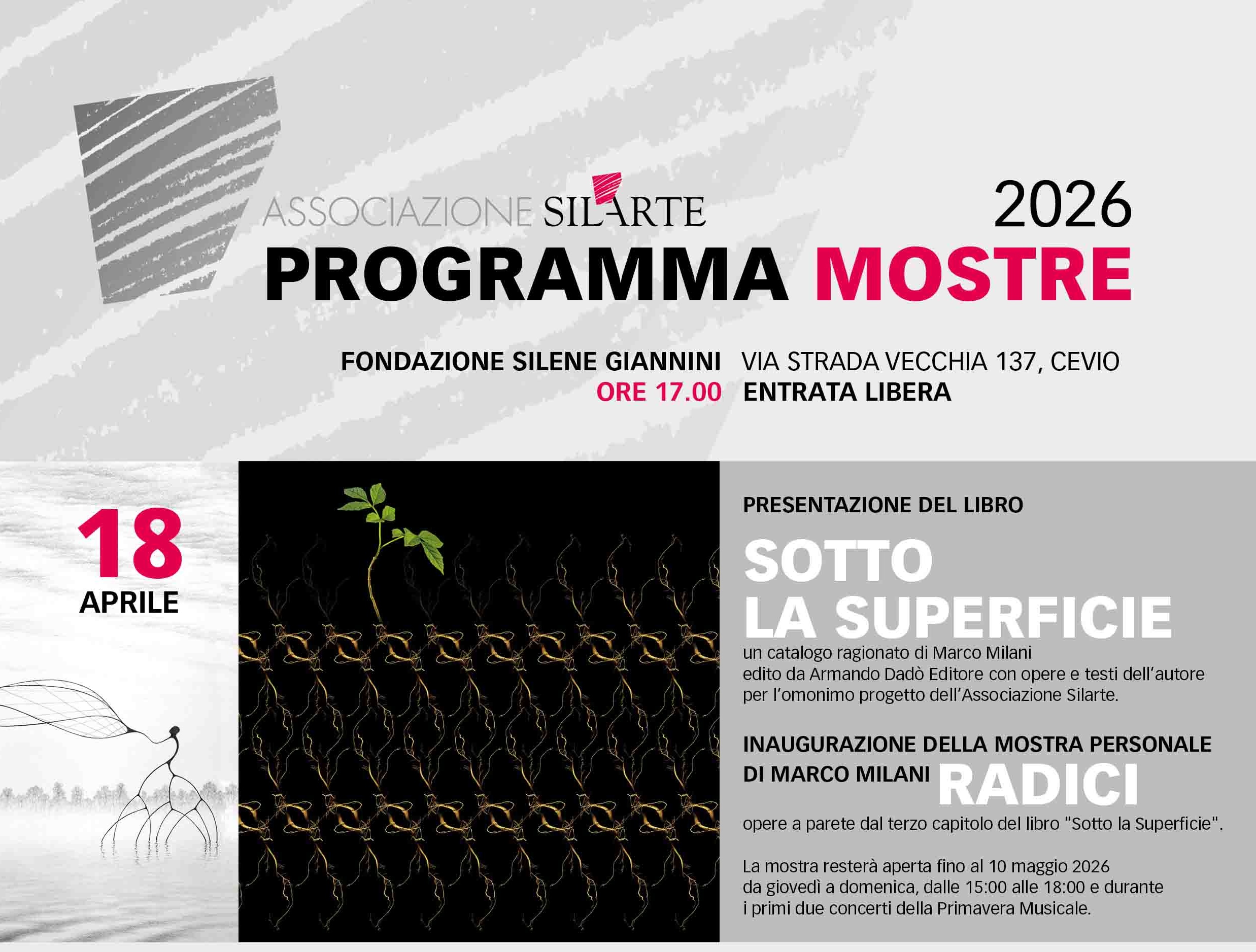 LOcandina superficie